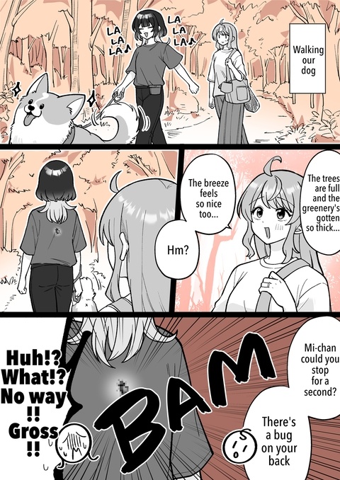 【EN】 Observation