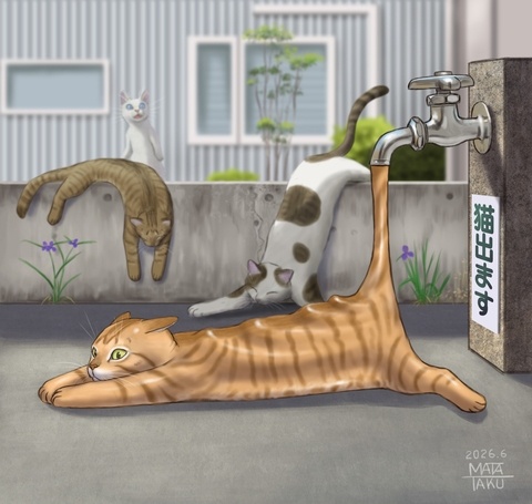 猫は液体
