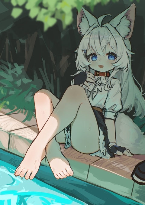 未来桑