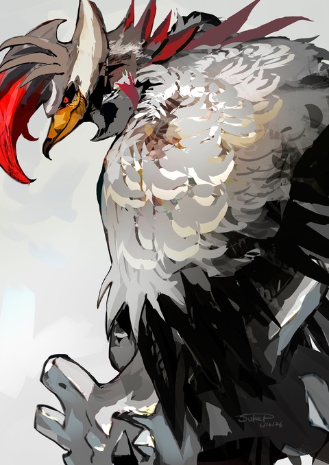 メガムクホーク