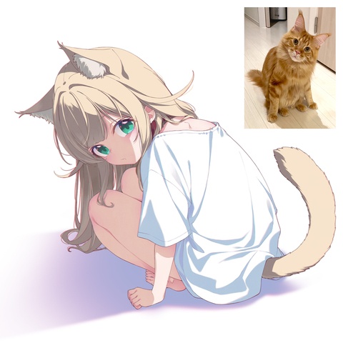 うちの猫の不思議な座り方が可愛い🐈✨