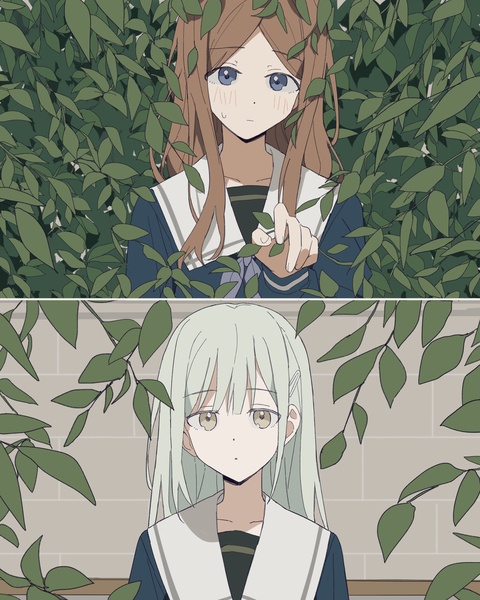 🌿🌿