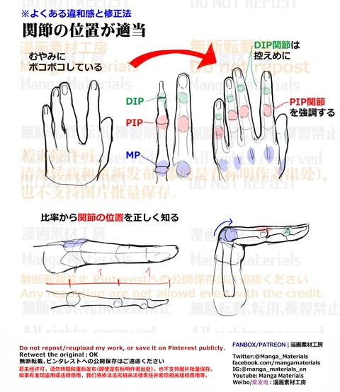 個人メモ：手の描き方/指の関節