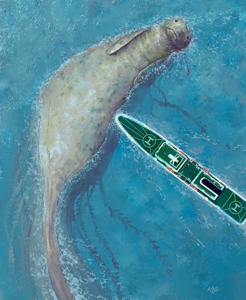 海牛押船